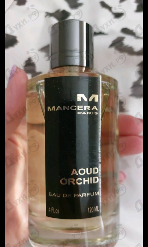 Отзыв Mancera Aoud Orchid