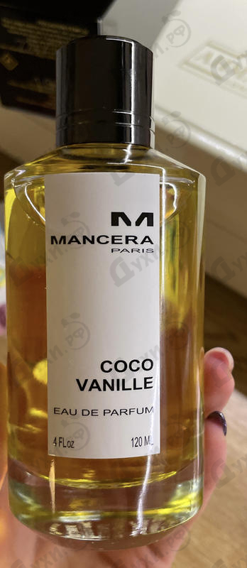 Купить Coco Vanille от Mancera