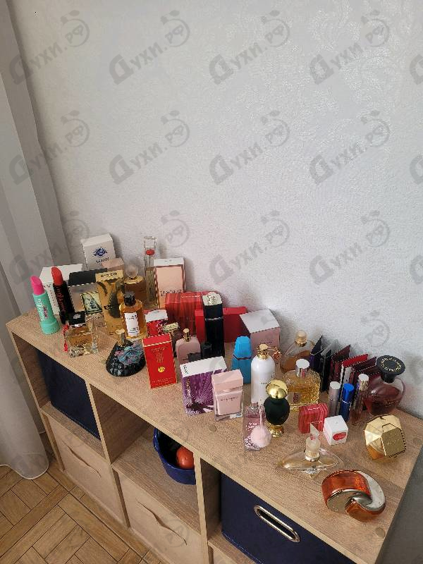 Купить Mancera Choco Violette