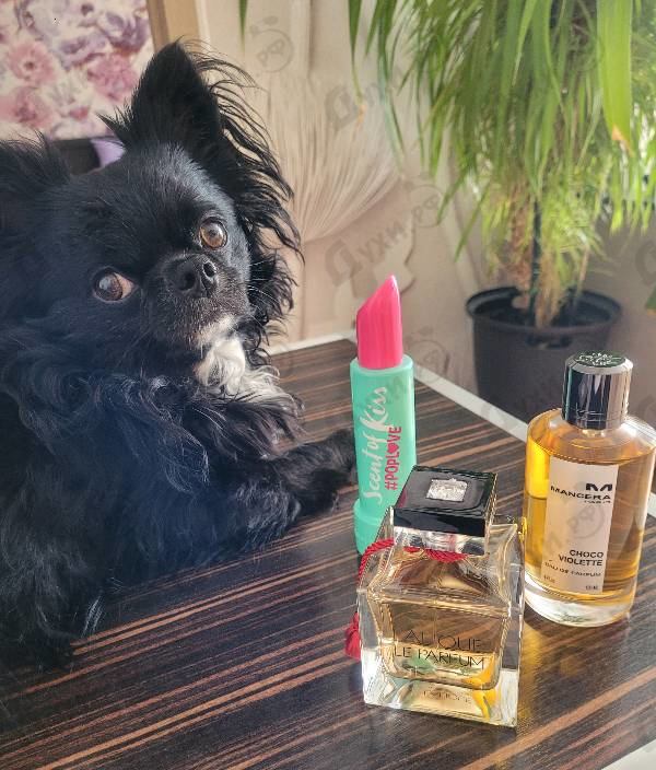 Парфюмерия Mancera Choco Violette