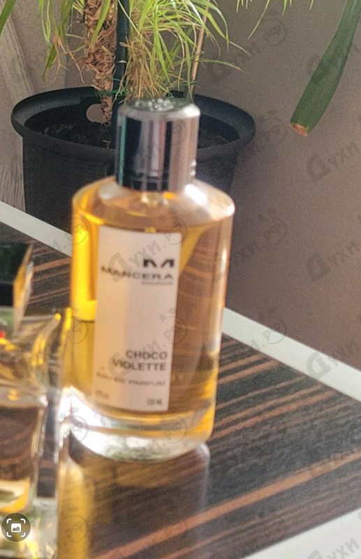 Купить Choco Violette от Mancera
