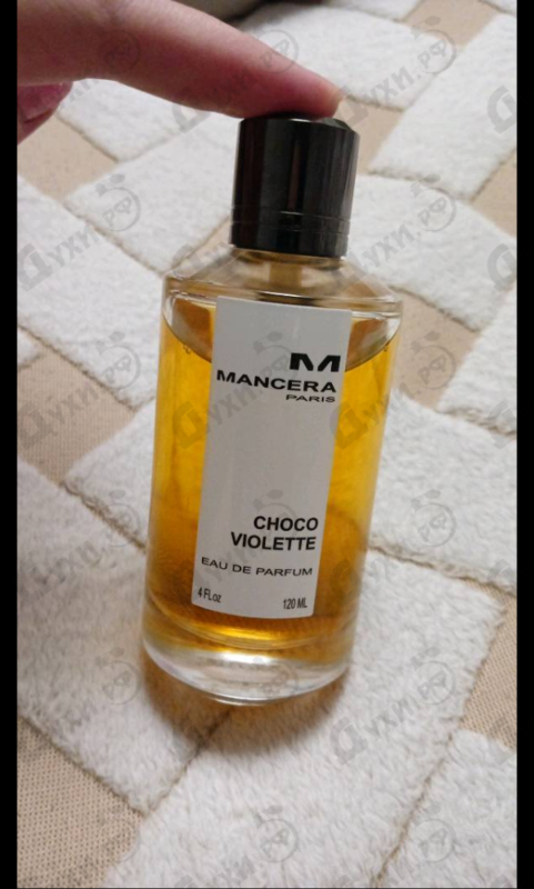Купить Mancera Choco Violette