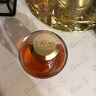 Отзыв Mancera Holidays