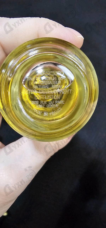 Купить Holidays от Mancera