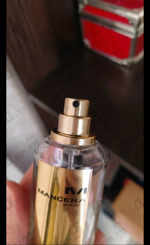 Купить Sicily от Mancera