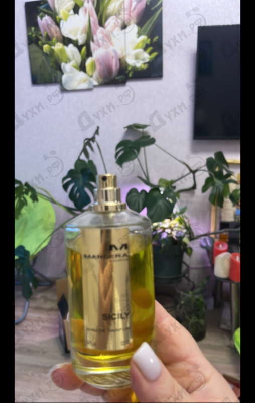 Парфюмерия Sicily от Mancera