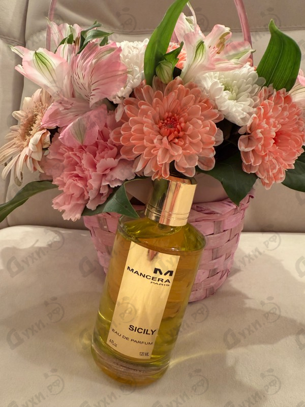 Купить Sicily от Mancera