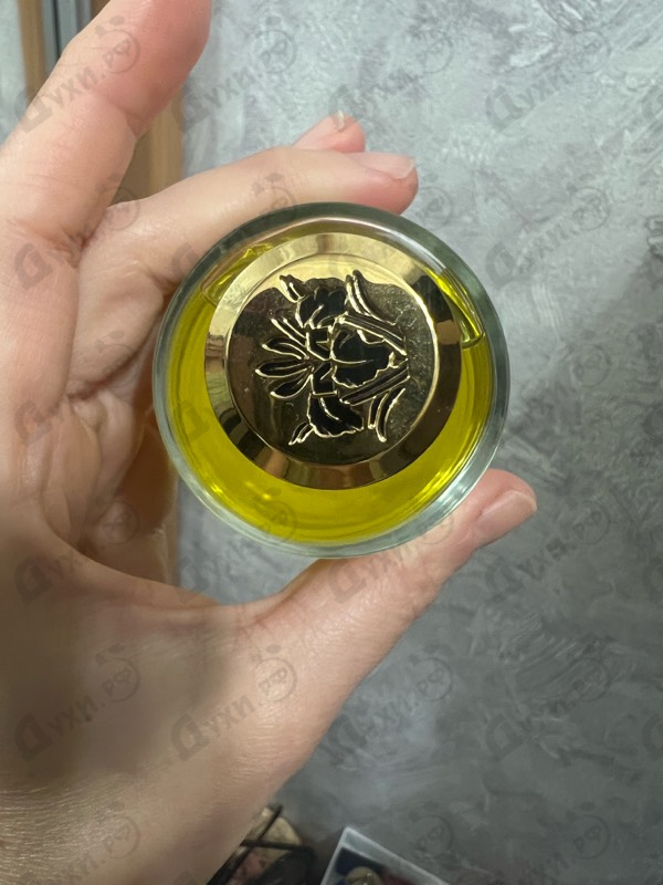 Отзыв Mancera Sicily