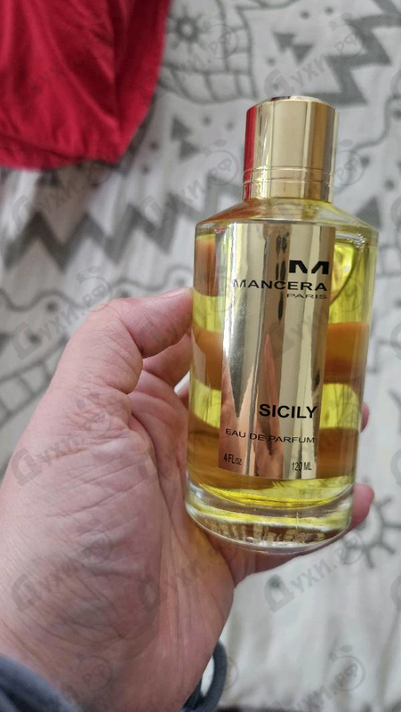 Купить Sicily от Mancera
