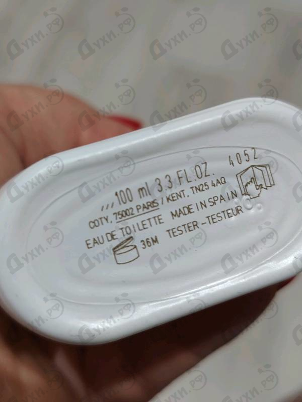 Купить Calvin Klein Ck All