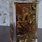 Отзывы Lancome Tubereuses Castane