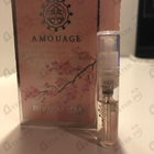 Отзывы Amouage Blossom Love