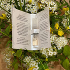 Парфюм Amouage Blossom Love