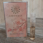 Отзывы Amouage Blossom Love