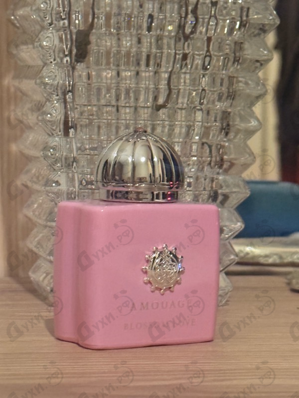 Купить Blossom Love от Amouage