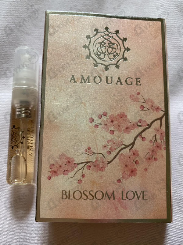 Купить Blossom Love от Amouage