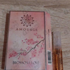 Отзыв Amouage Blossom Love