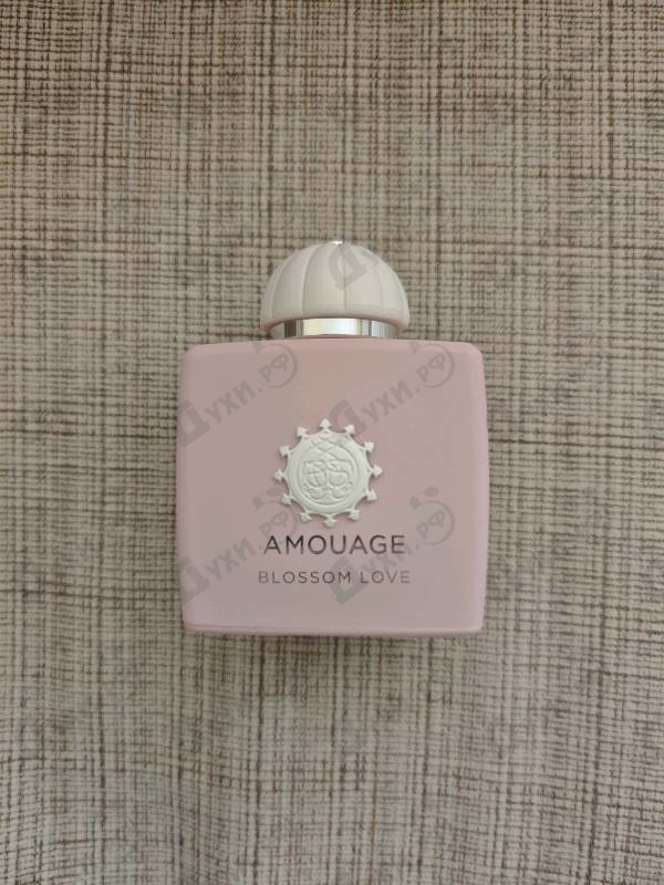 Купить Blossom Love от Amouage
