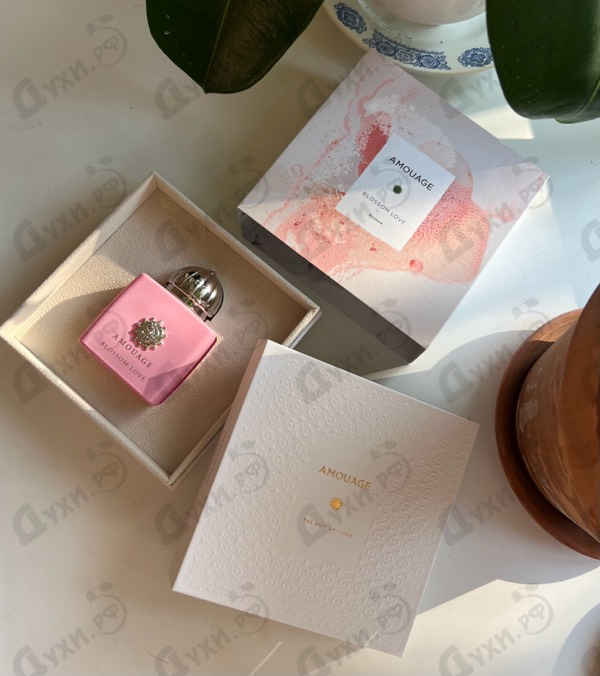 Отзывы Amouage Blossom Love