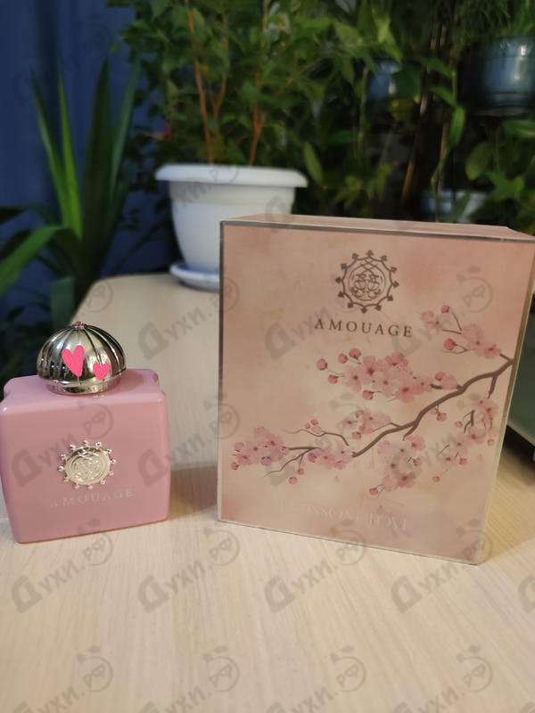 Духи Blossom Love от Amouage