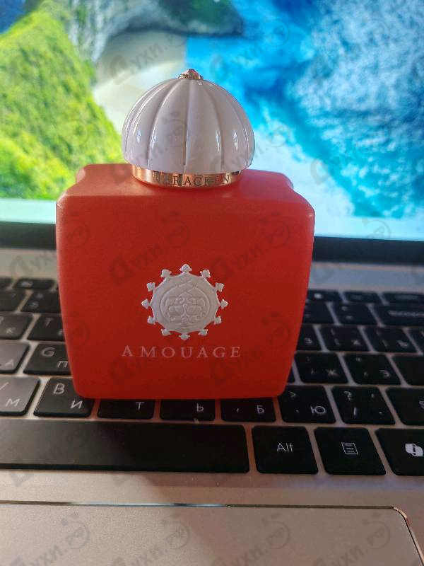 Купить Amouage Bracken