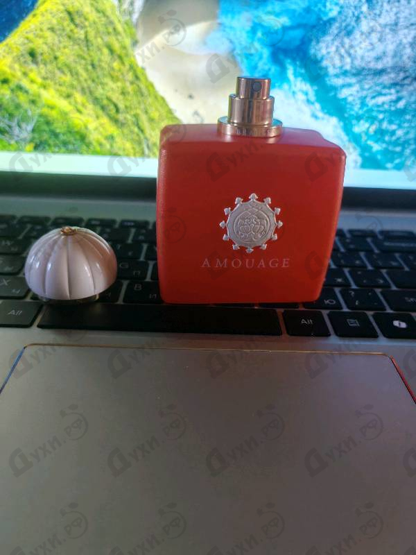 Купить Bracken от Amouage