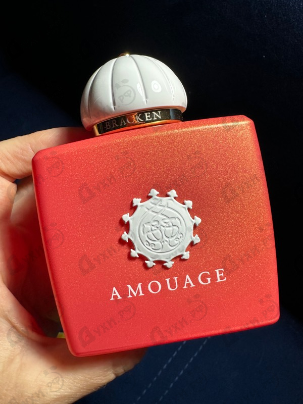 Купить Amouage Bracken
