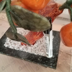 Отзыв Kilian Black Phantom