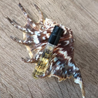 Отзывы Kilian Black Phantom