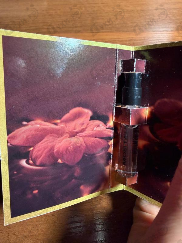 Купить So Iris Intense от Montale