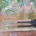 Духи Esperidi Water от The Merchant of Venice