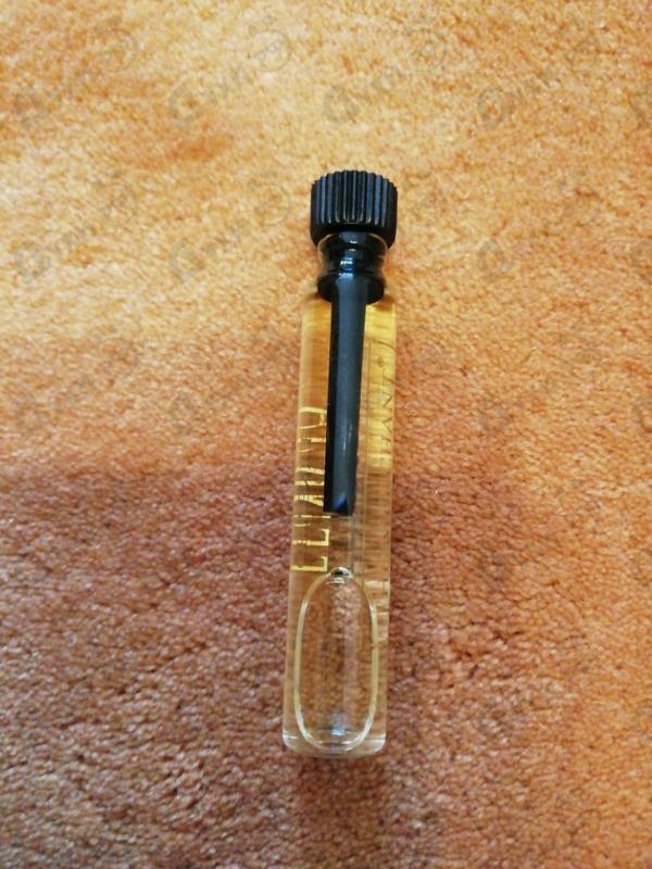 Парфюм The Merchant of Venice Noble Potion Духи Noble Potion от The Merchant of Venice