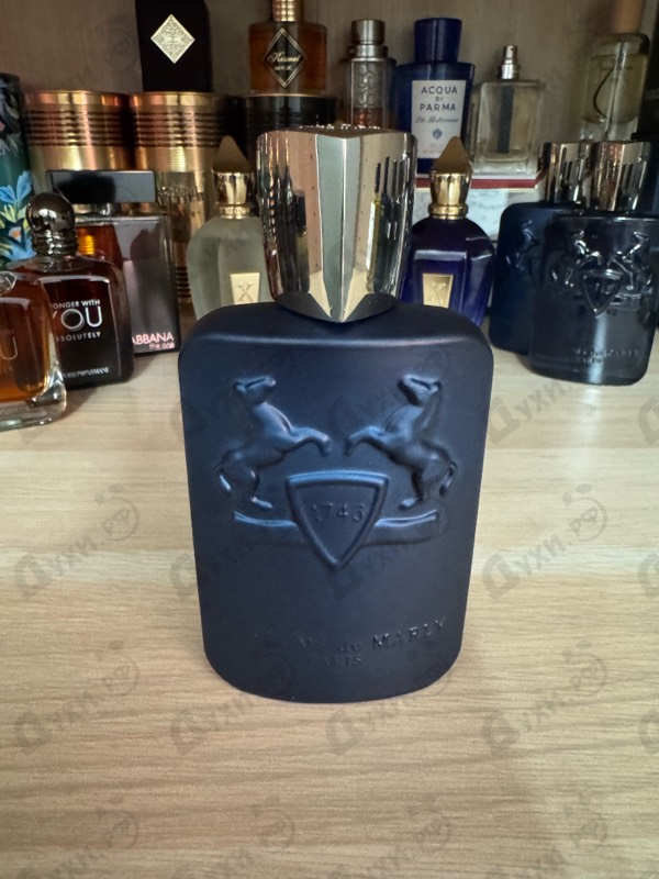 Купить Layton от Parfums de Marly