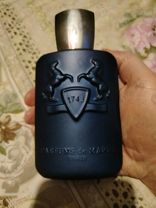 Духи Layton от Parfums de Marly