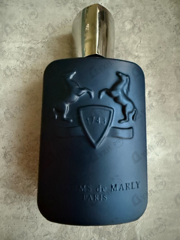 Купить Layton от Parfums de Marly
