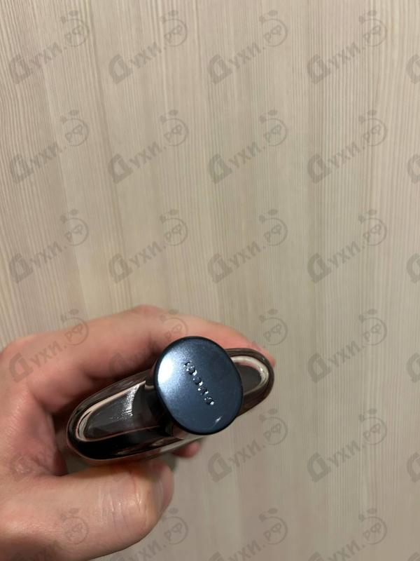 Парфюмерия Gucci Guilty Absolute