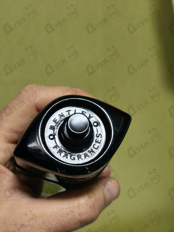 Купить Absolute от Bentley