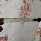 Отзыв Bottega Veneta Parco Palladiano V