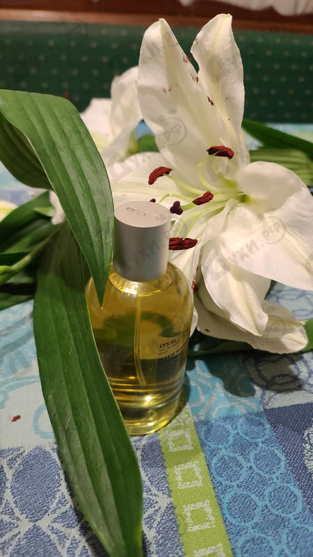 Духи Lys 41 от Le Labo Отзыв Le Labo Lys 41