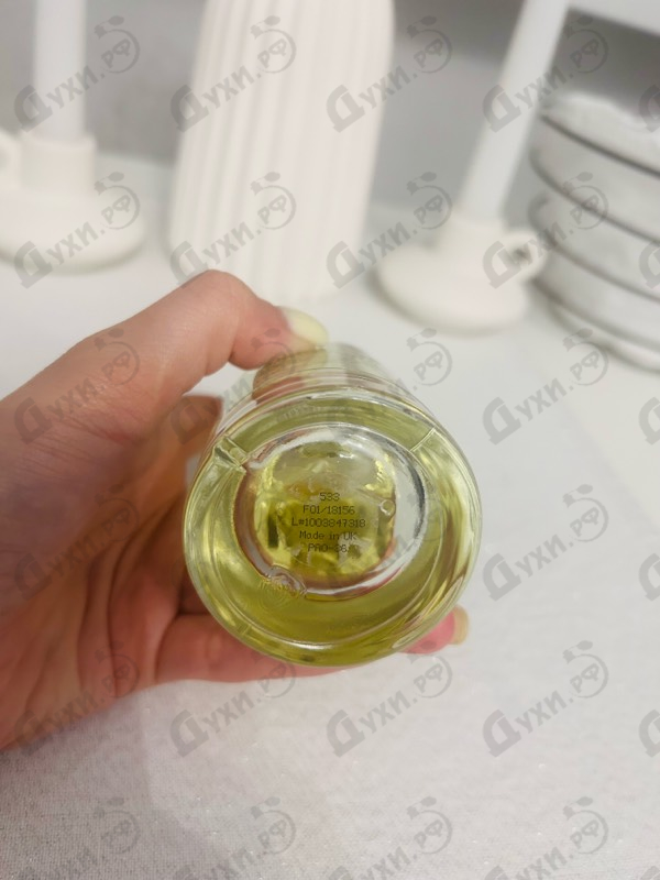 Купить Santal 33 от Le Labo