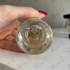Отзывы Le Labo Santal 33