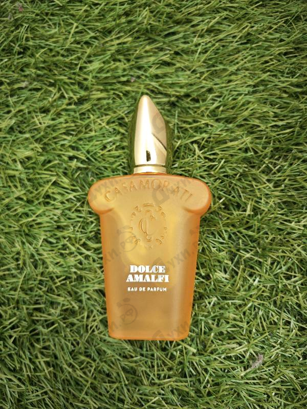 Отзывы Xerjoff Dolce Amalfi