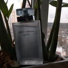 Отзыв Dolce & Gabbana Light Blue Eau Intense