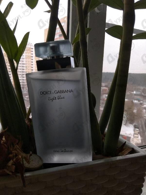 Парфюмерия Dolce & Gabbana Light Blue Eau Intense