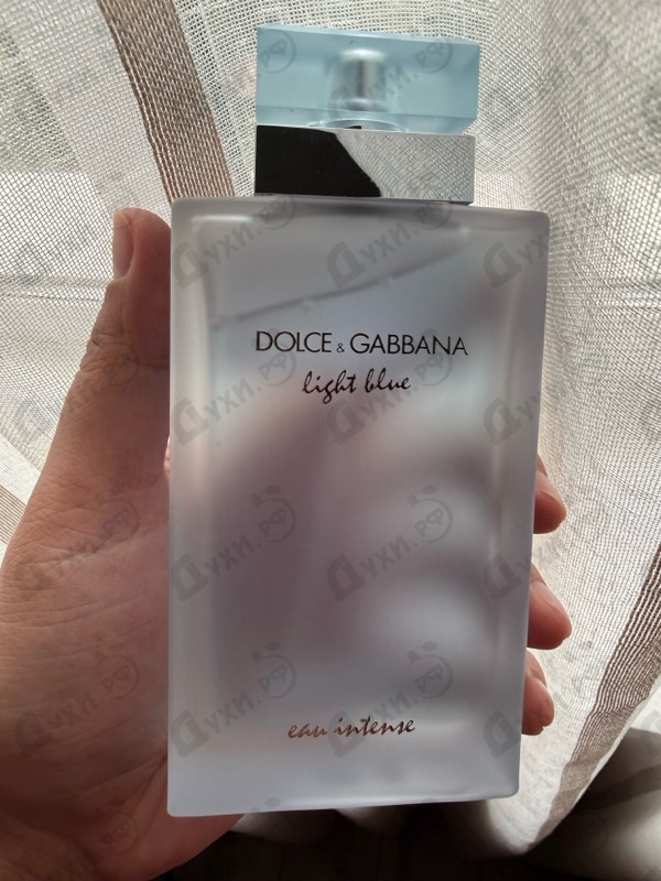 Духи Light Blue Eau Intense от Dolce & Gabbana