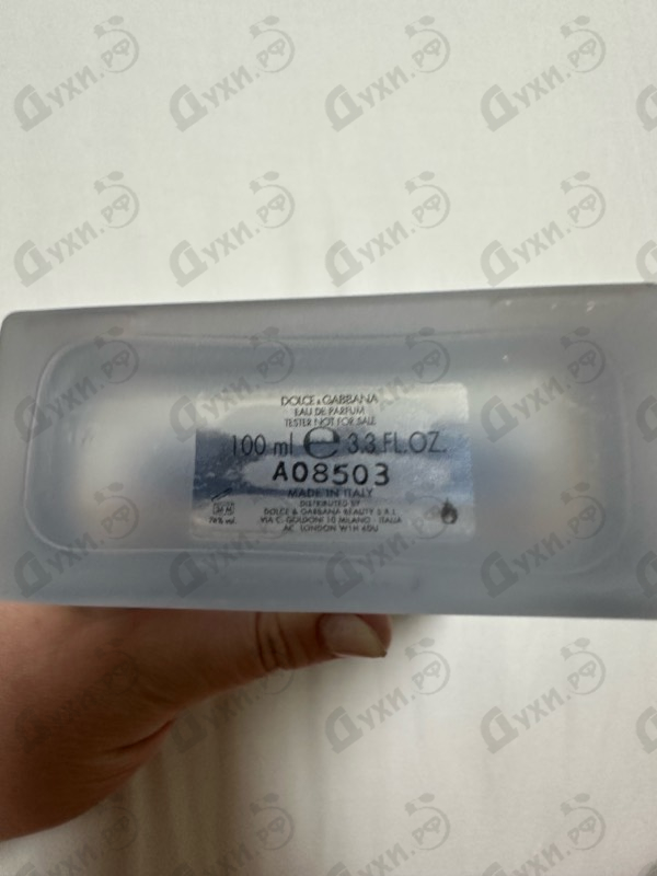 Купить Dolce & Gabbana Light Blue Eau Intense