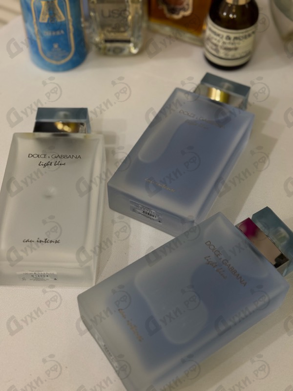 Купить Dolce & Gabbana Light Blue Eau Intense