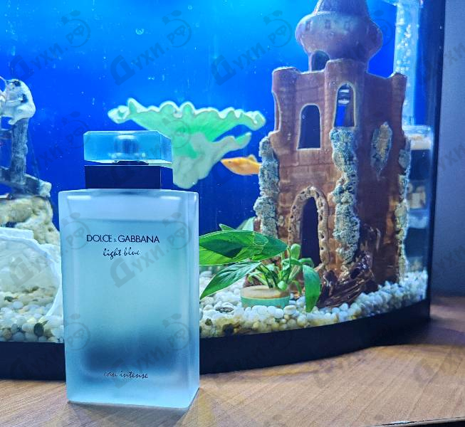Парфюмерия Light Blue Eau Intense от Dolce & Gabbana