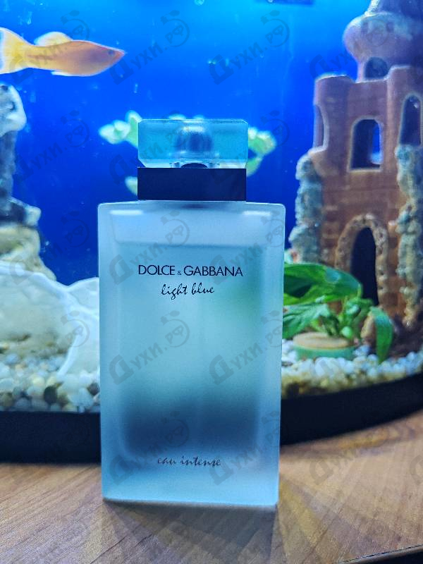Духи Light Blue Eau Intense от Dolce & Gabbana