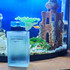 Парфюмерия Light Blue Eau Intense от Dolce & Gabbana